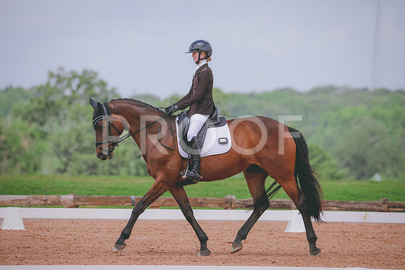RWP_4534