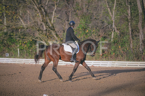 JJS_2828