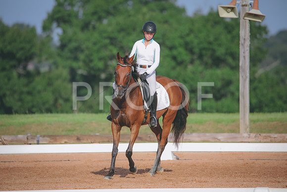 RWP_4453