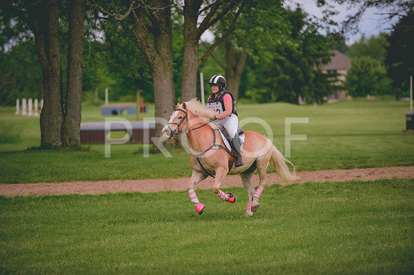 JJS_0597