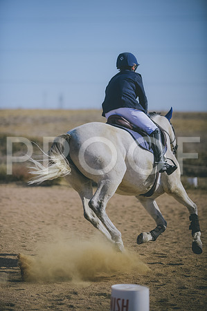 JJS_3909