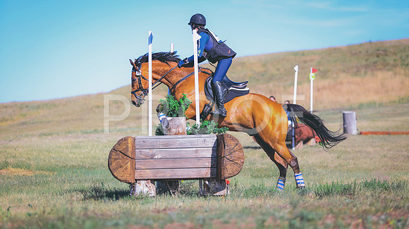 0N0A8339
