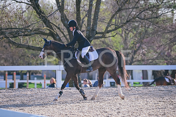 CRB_5884