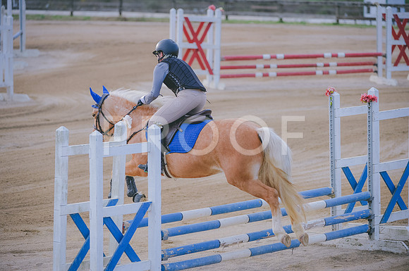 JJS_1273