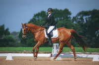 RWP_4074