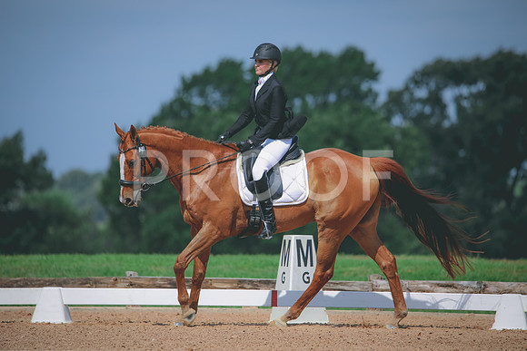 RWP_4074