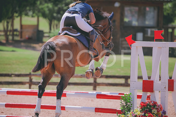 RWP_5259