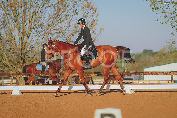 BYR_2008