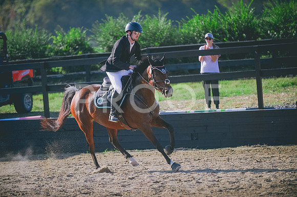 JJS_7248