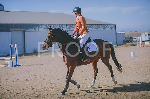 JJS_5347