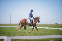 JJS_1315