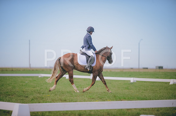 JJS_1315