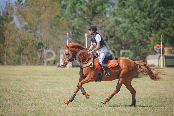 RWP_3527