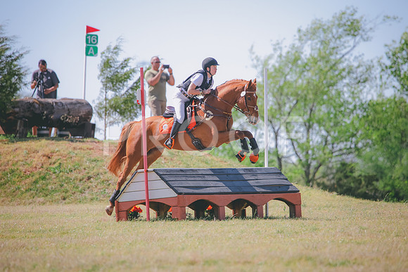 RWP_3514