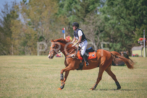 RWP_3528