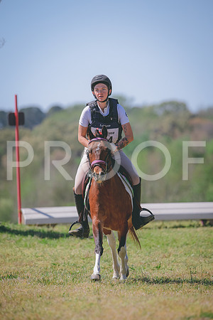 RWP_6383