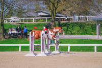 DSC04264