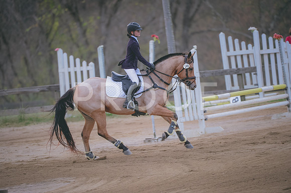 JJS_3695