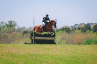 BYR_0775