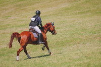 BYR_0896