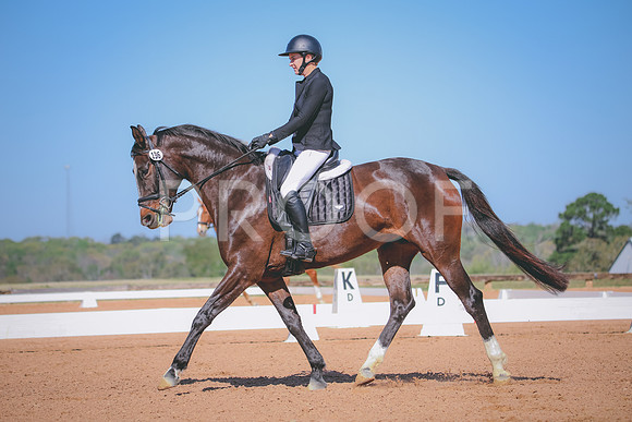 RWP_1433