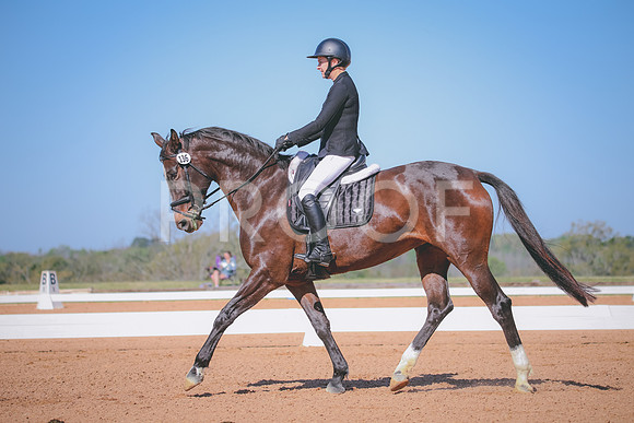 RWP_1436