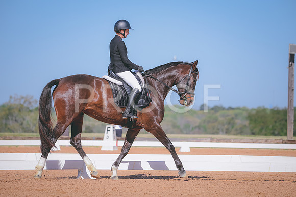 RWP_1451
