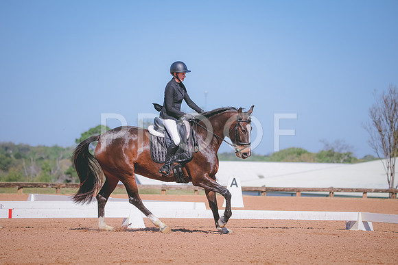 RWP_1453