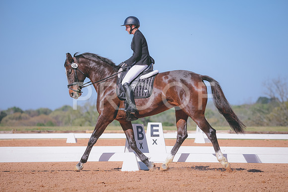 RWP_1462