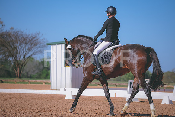 RWP_1505