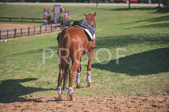 DSC_4964