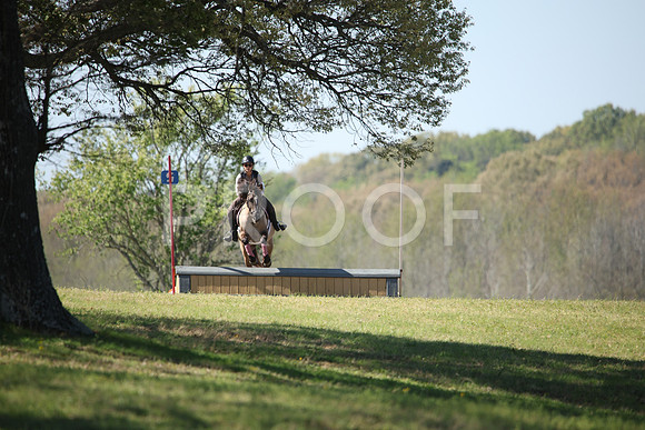 RWP_6006
