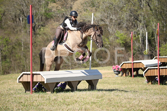 RWP_6017