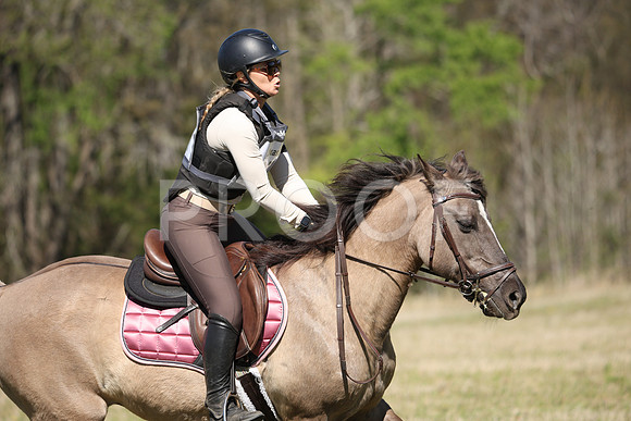 RWP_6029