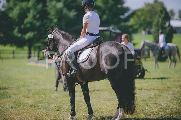 JJS_0118
