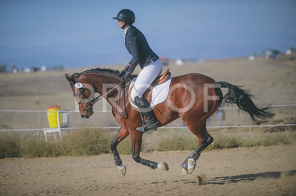 JJS_0262