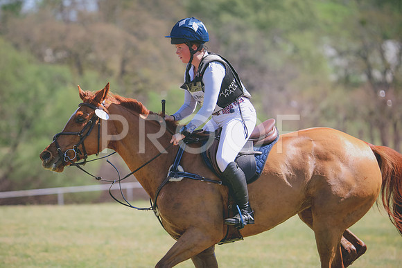 RWP_2951