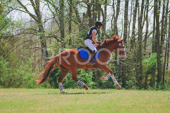 BYR_3674
