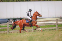 BYR_3945