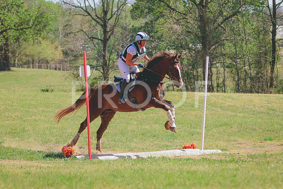 BYR_4208
