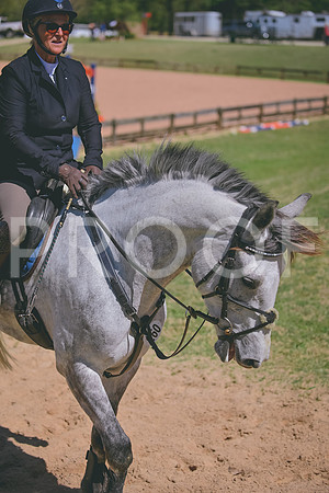 DSC_0248