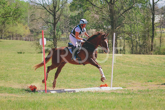 BYR_4210