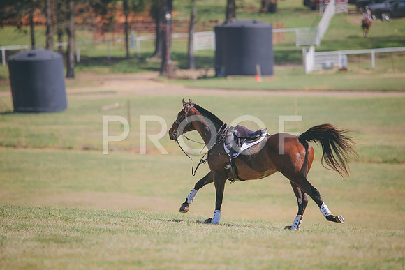 RWP_3537