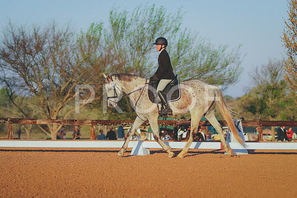 BYR_0184