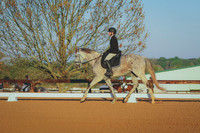BYR_0176