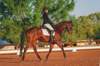 BYR_0656