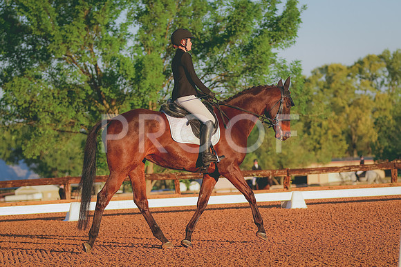 BYR_0656