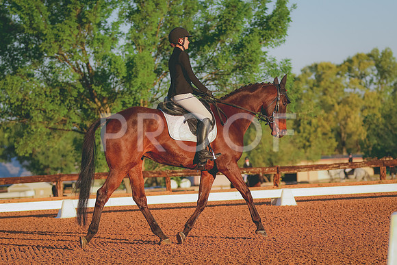 BYR_0657