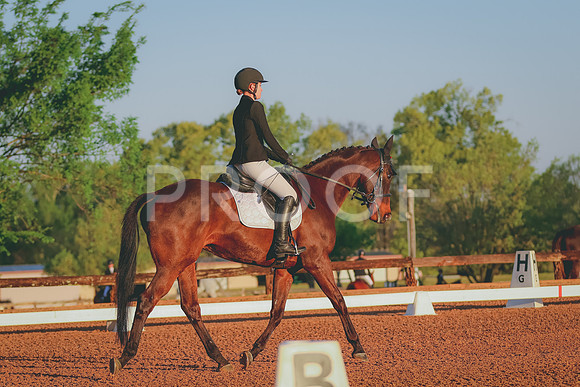 BYR_0664