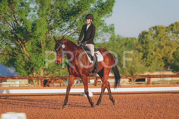 BYR_0665